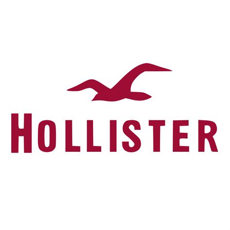 replica hollister clothing|hollister clothing brands.